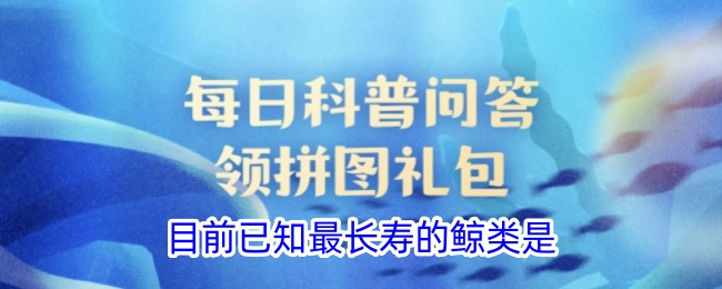目前已知最长寿的鲸鱼是