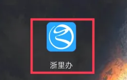 《浙里办》查询缴款记录方法