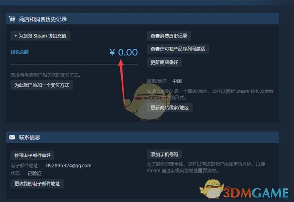 Steam钱包余额查看方法