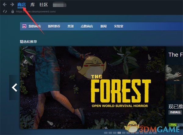 如何查看Steam点数历史记录