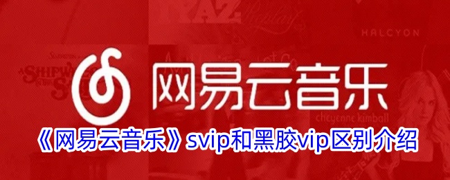 《网易云音乐》SVIP与黑胶VIP区别解析