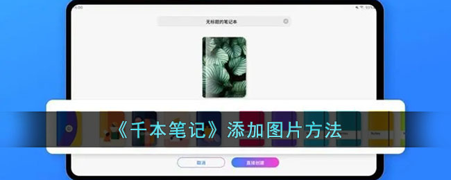 《千本笔记》插入图片教程