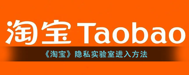《淘宝》隐私实验室访问指南