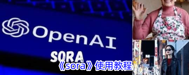 《Sora使用指南》