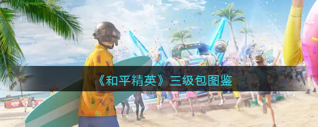 《和平精英》三级包大全