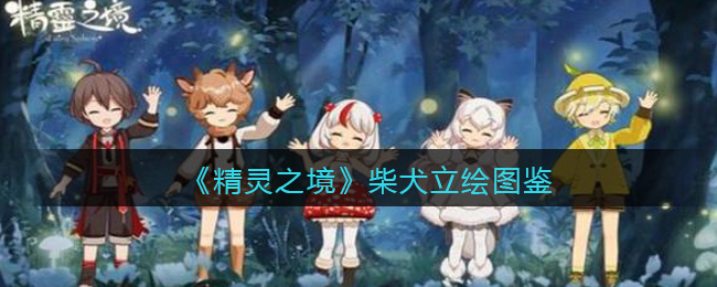 《精灵之境》柴犬图鉴
